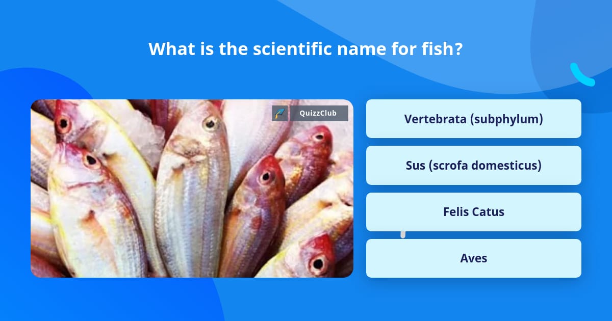 what-is-the-scientific-name-for-fish-trivia-questions-quizzclub