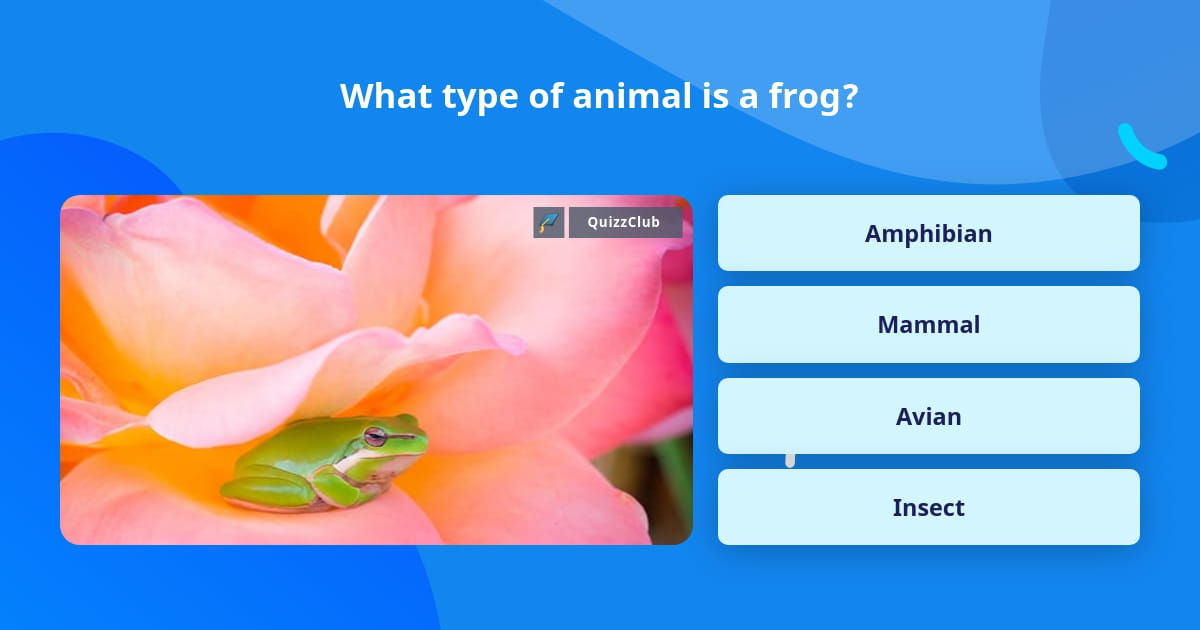 What type of animal is a frog? | Trivia Questions | QuizzClub