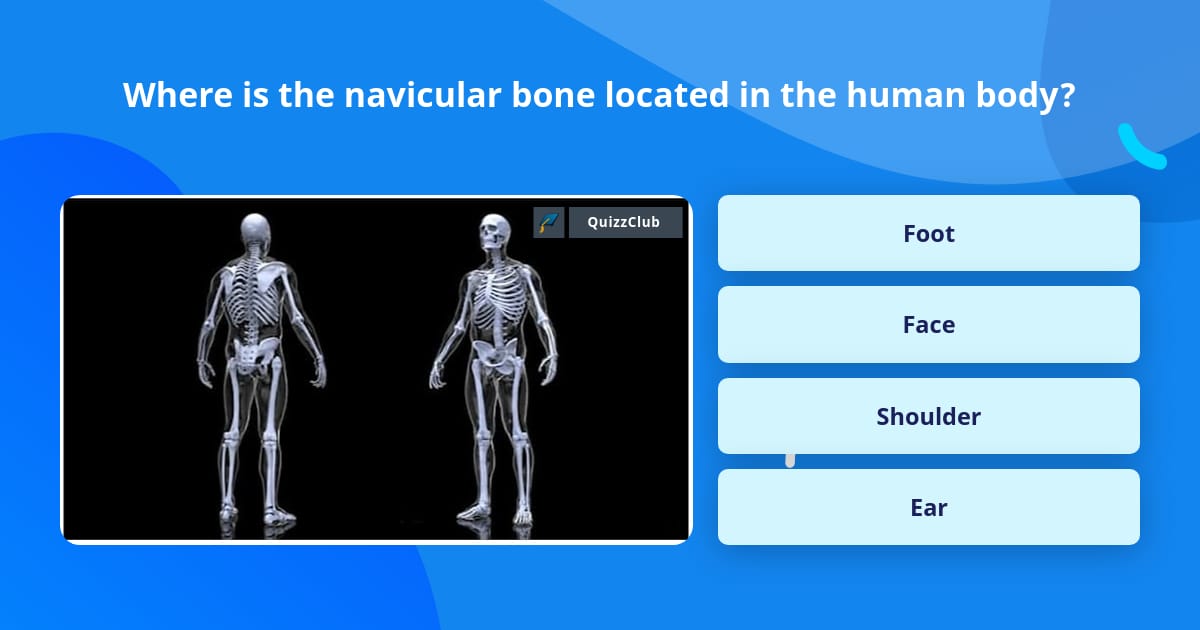 Where Is The Navicular Bone Located Trivia Questions Quizzclub