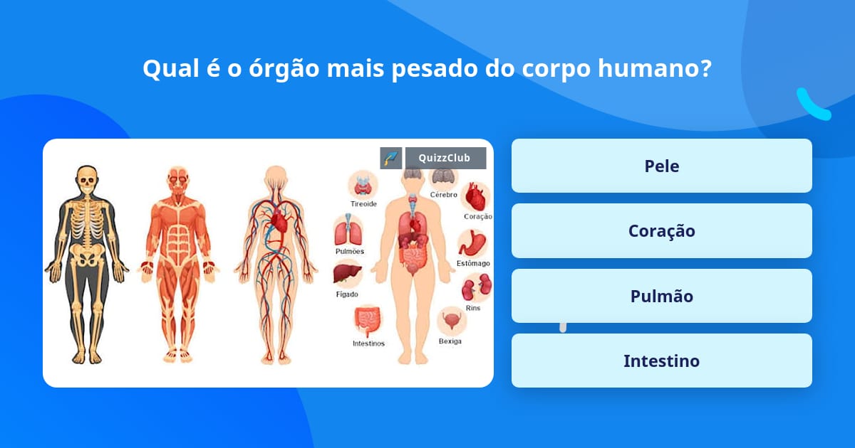 Qual é o órgão mais pesado do corpo... | Perguntas Triviais