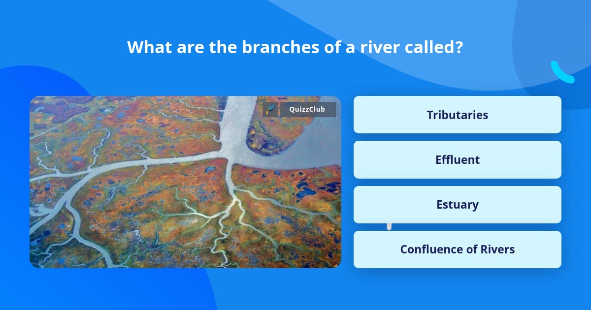 what-are-the-branches-of-a-river-called-trivia-questions