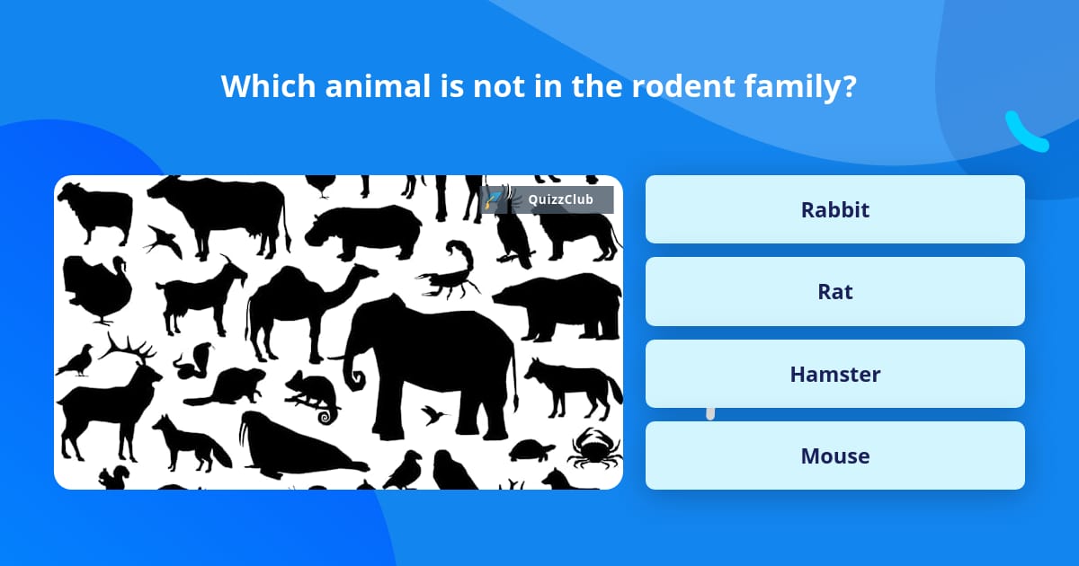 Which animal is not in the rodent... | Trivia Questions | QuizzClub