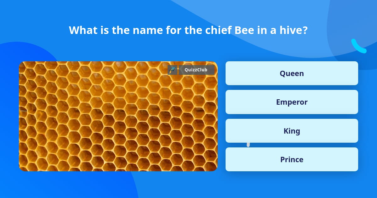 What is the name for the chief Bee... | Trivia Answers | QuizzClub