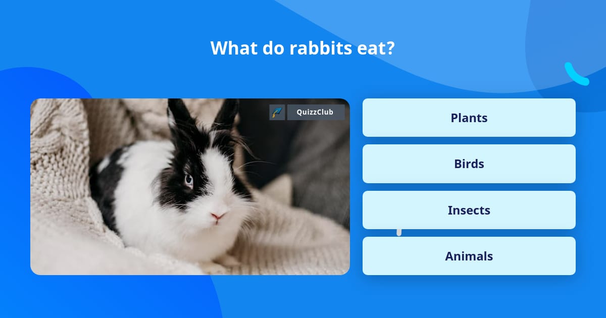 What do rabbits eat? Trivia Questions
