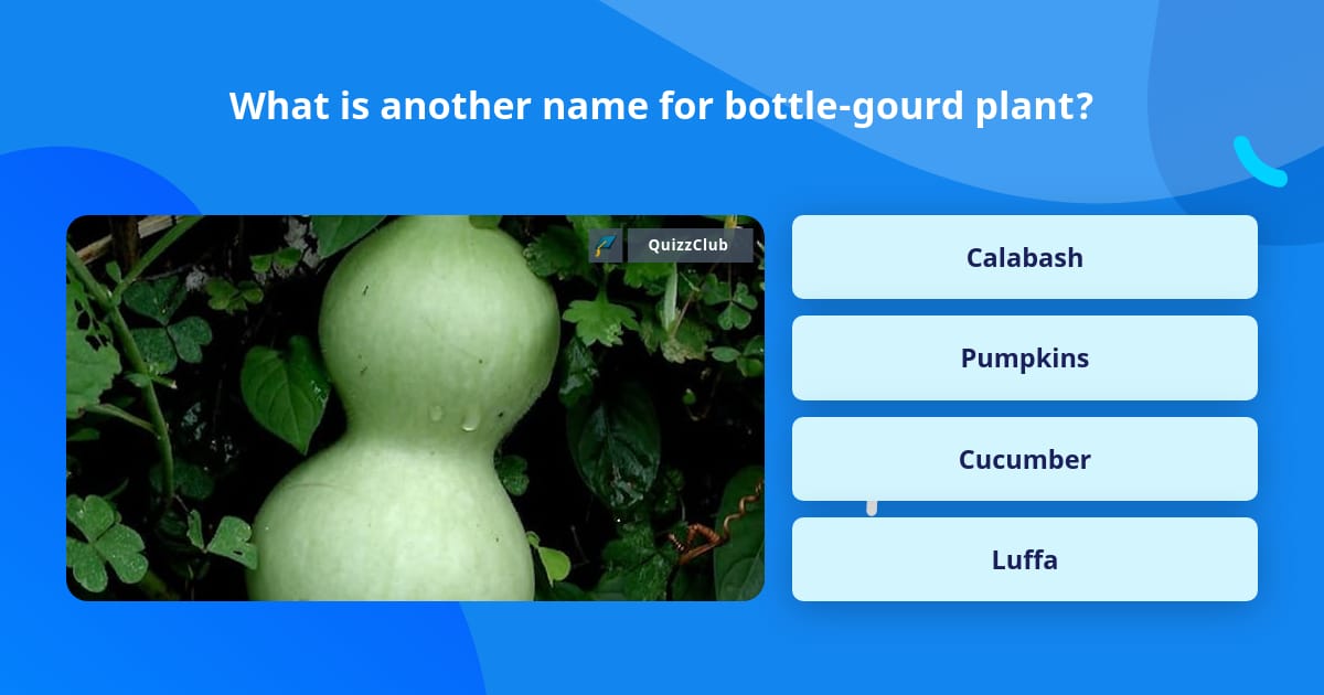 What Is Another Name For Trivia Questions QuizzClub