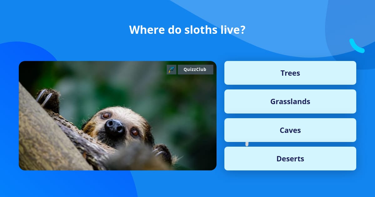 Where do sloths live? | Trivia Questions | QuizzClub