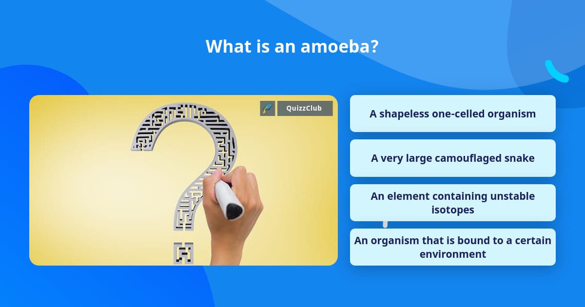 What is an amoeba? | Trivia Answers | QuizzClub