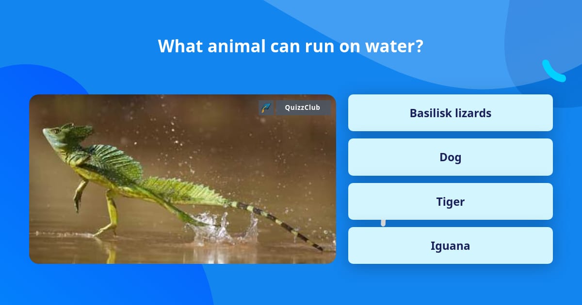 what-animal-can-run-on-water-trivia-questions-quizzclub