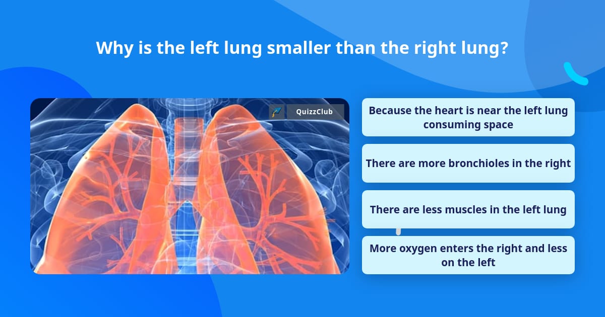 Left Lun Why is the left lung smaller than... | Trivia Questions | QuizzClub