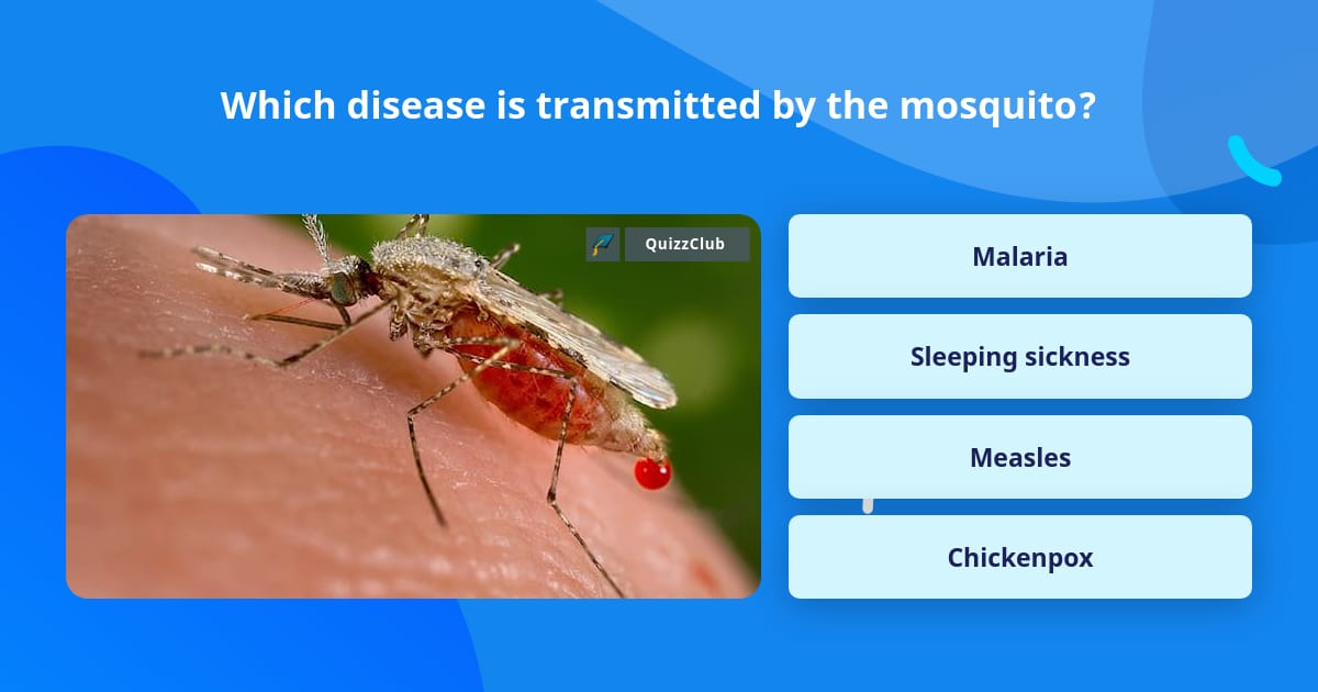 Which disease is transmitted by the... | Trivia Answers | QuizzClub