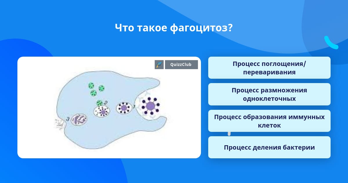 Типы фагоцитоза