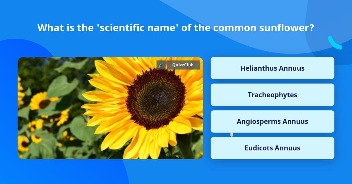 what-is-the-scientific-name-of-the-trivia-questions-quizzclub