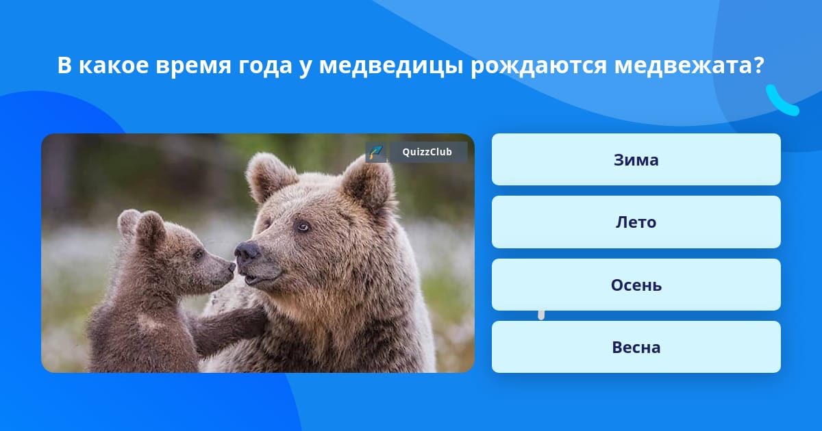 Книги про белого медведя. Текст берлога у белой медведицы. У белой медведицы родился медвежонок она. Белый медведь берлога белой медведицы. Текст у белой медведицы родился медвежонок.