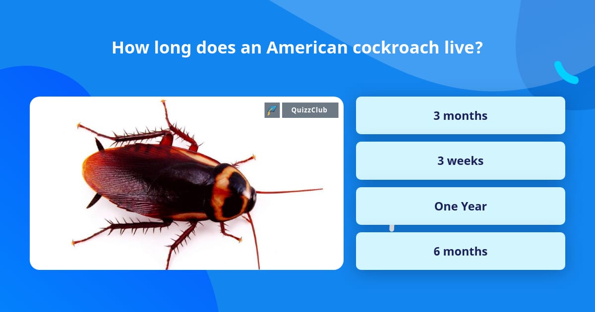 How long does an American cockroach... | Trivia Questions | QuizzClub