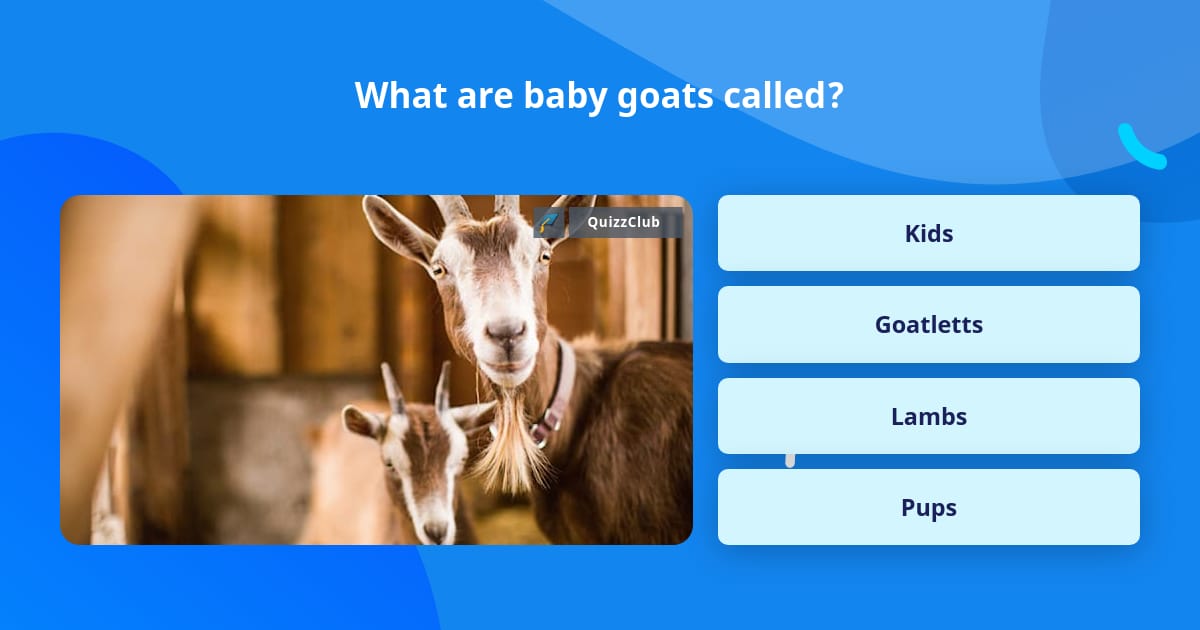 Goat Any Questions What are baby goats called? | Trivia Questions | QuizzClub