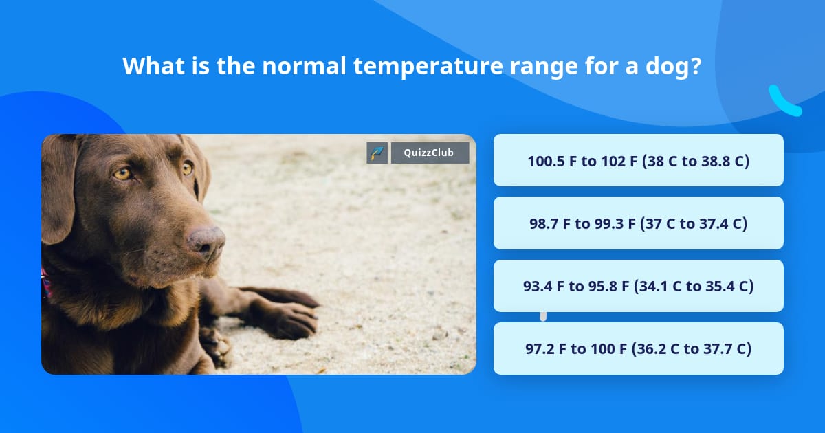 what is a normal temperature for a dog