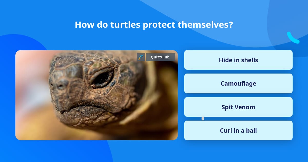 How do turtles protect themselves? | Trivia Questions | QuizzClub