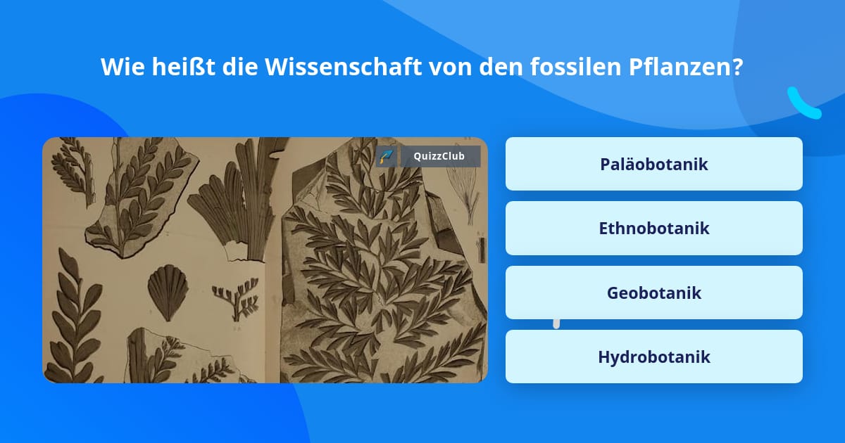 Wie heißt die Wissenschaft von den... Quizfragen Wie heißt die Wissenschaft von den... Quizfragen