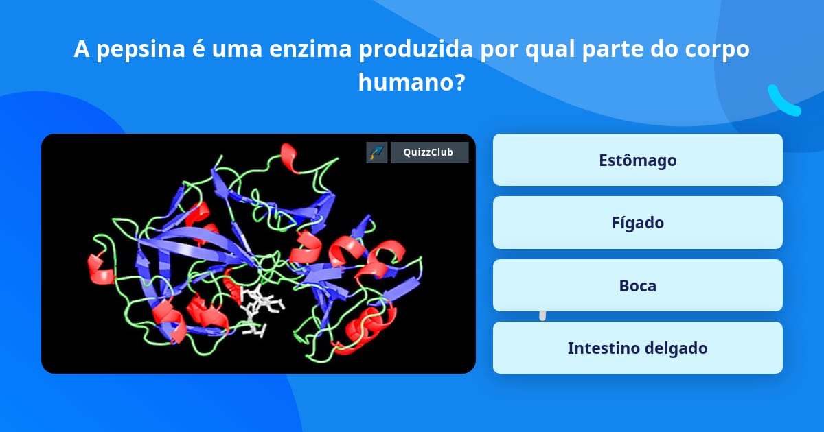 A pepsina é uma enzima produzida por... | Respostas Triviais