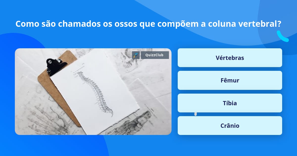 Como são chamados os ossos que... | Perguntas Triviais | QuizzClub