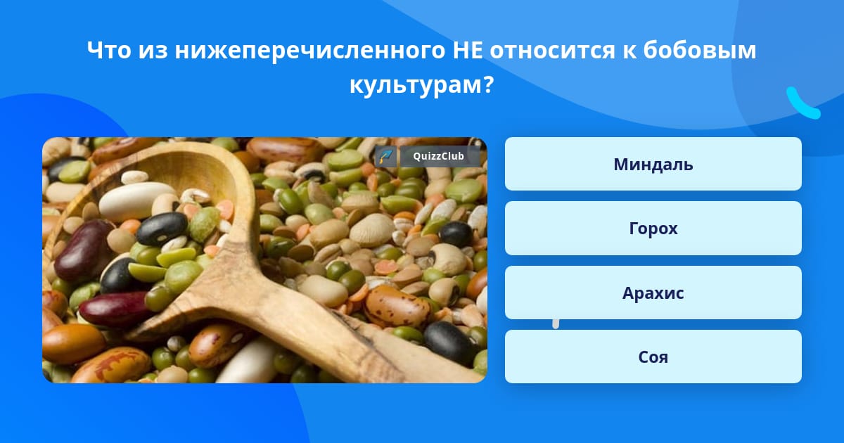 Что относится к группе а. Что относится к бобовым. Что не относится к бобовым культурам. Какие продукты относятся к бобовым. Что относится к бобовым культурам.