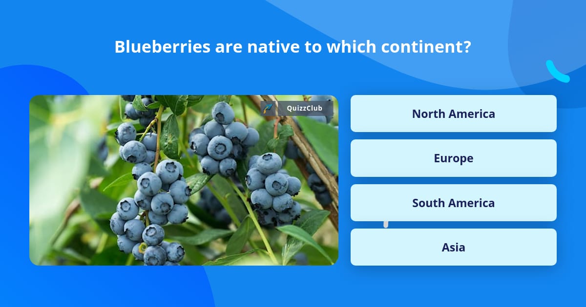 Blueberries are native to which... | Trivia Answers | QuizzClub