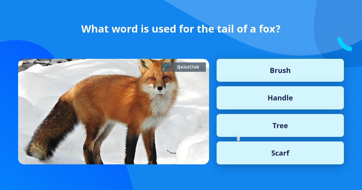 What word is used for the tail of a fox? | Trivia Questions