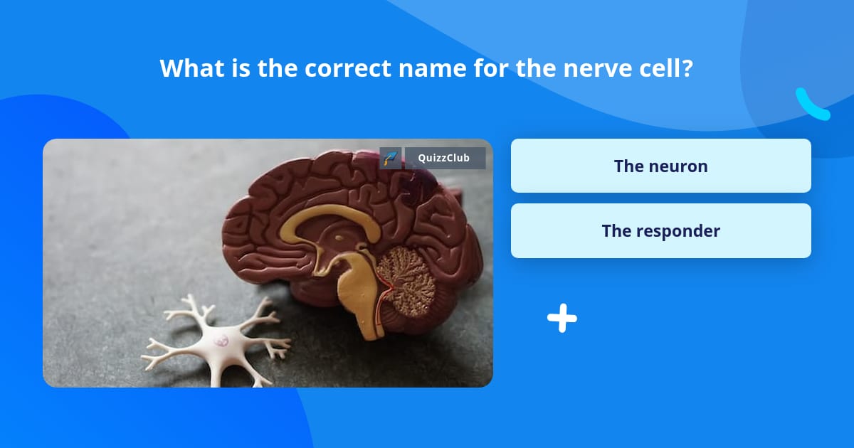 question-video-identifying-the-correct-definition-of-power-nagwa