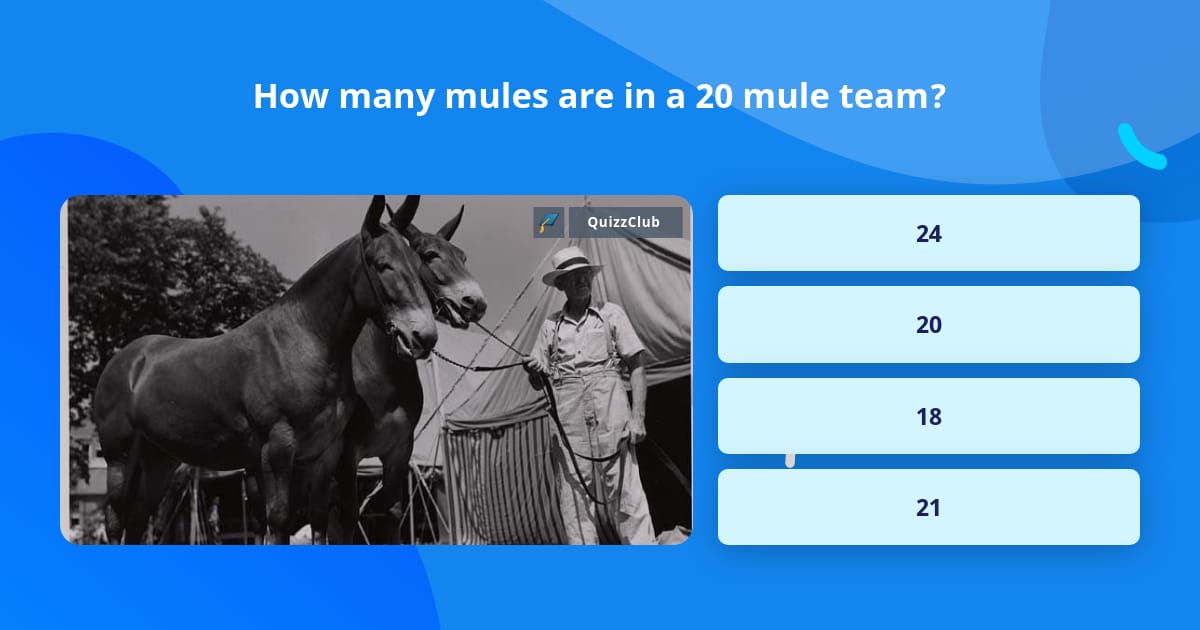 How many mules are in a 20 mule team? | Trivia Questions | QuizzClub