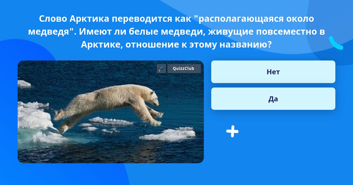Антарктида проект. Слово арктика происходит. Медведь какой прилагательные. Слово арктика происходит. Слово арктика происходит.