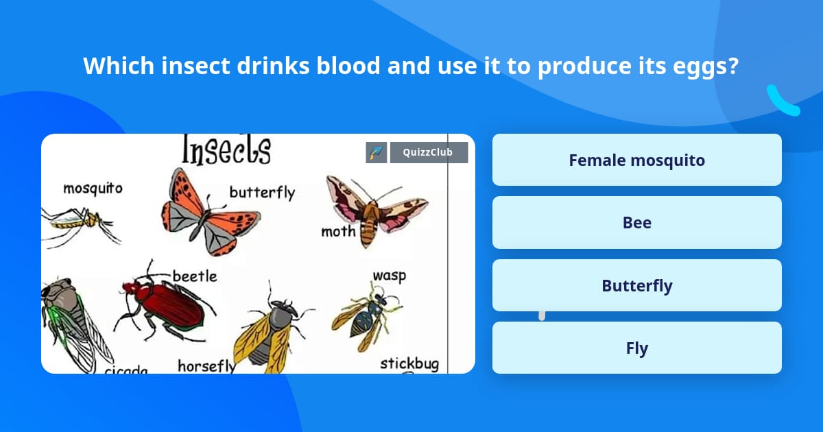 Which insect drinks blood and use it... | Trivia Questions | QuizzClub