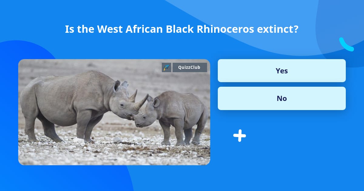 Is the West African Black Rhinoceros... | Trivia Answers | QuizzClub