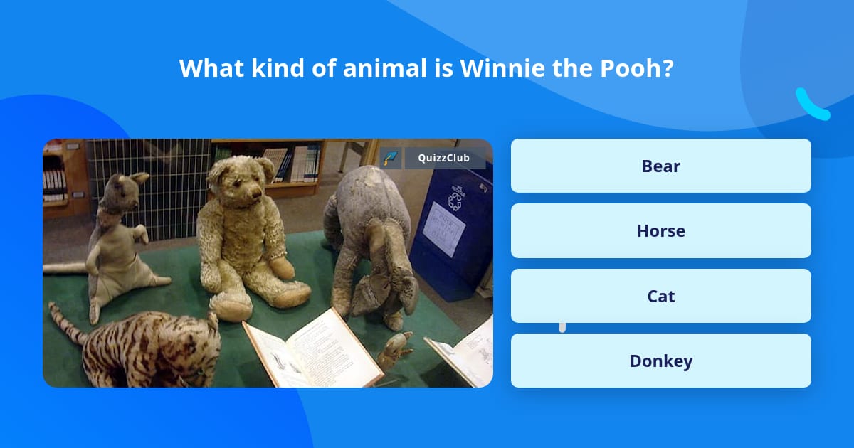 What kind of animal is Winnie the Pooh? | Trivia Answers | QuizzClub