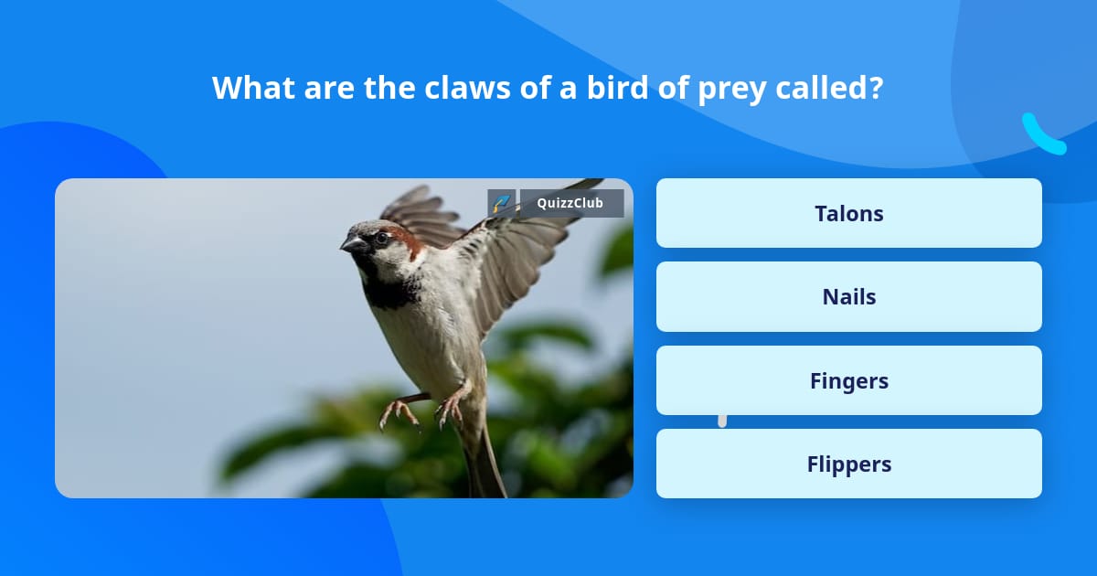 What Are The Claws Of A Bird Of Prey Trivia Answers QuizzClub