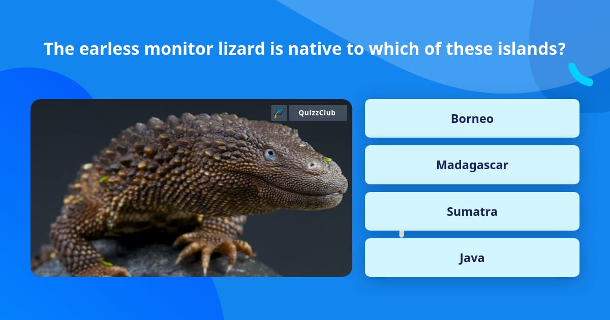 The earless monitor lizard is native... | Trivia Questions | QuizzClub