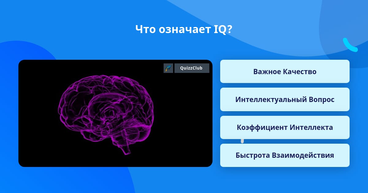 3 вопроса iq. 3 вопроса iq