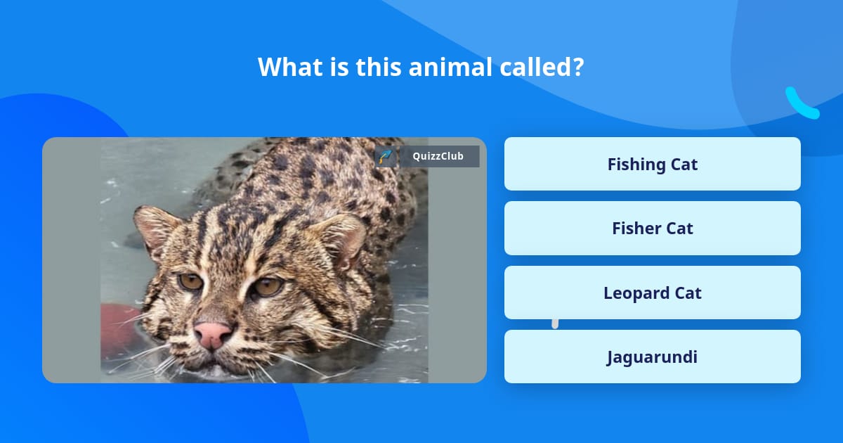What is this animal called? | Trivia Questions | QuizzClub