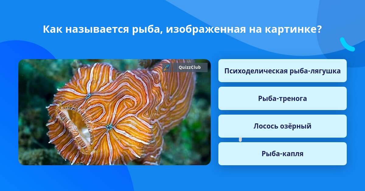 психоделическая рыба-лягушка, самое длинное название рыбы, цветок в форме рыбки как называется, наука о рыбах называется