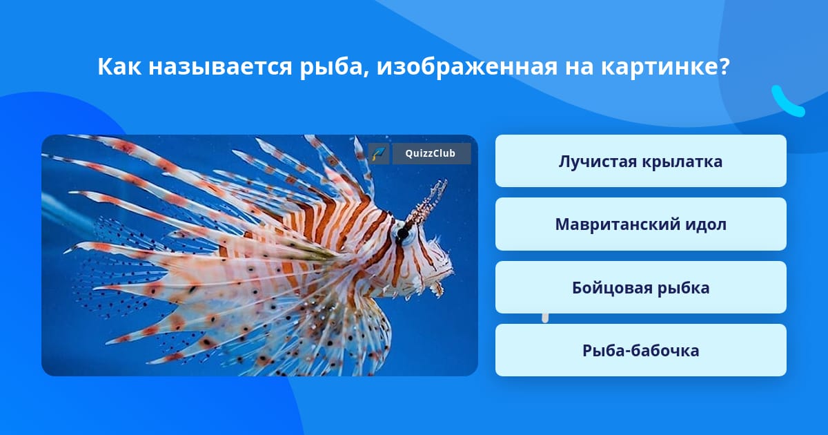 как называются у рыб руки, самое длинное название рыбы, как назвать рыбку, электрические длинные рыбы как называются