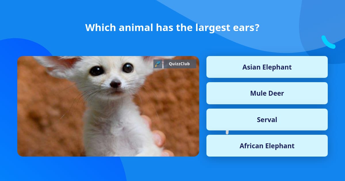 Which animal has the largest ears? | Trivia Questions | QuizzClub
