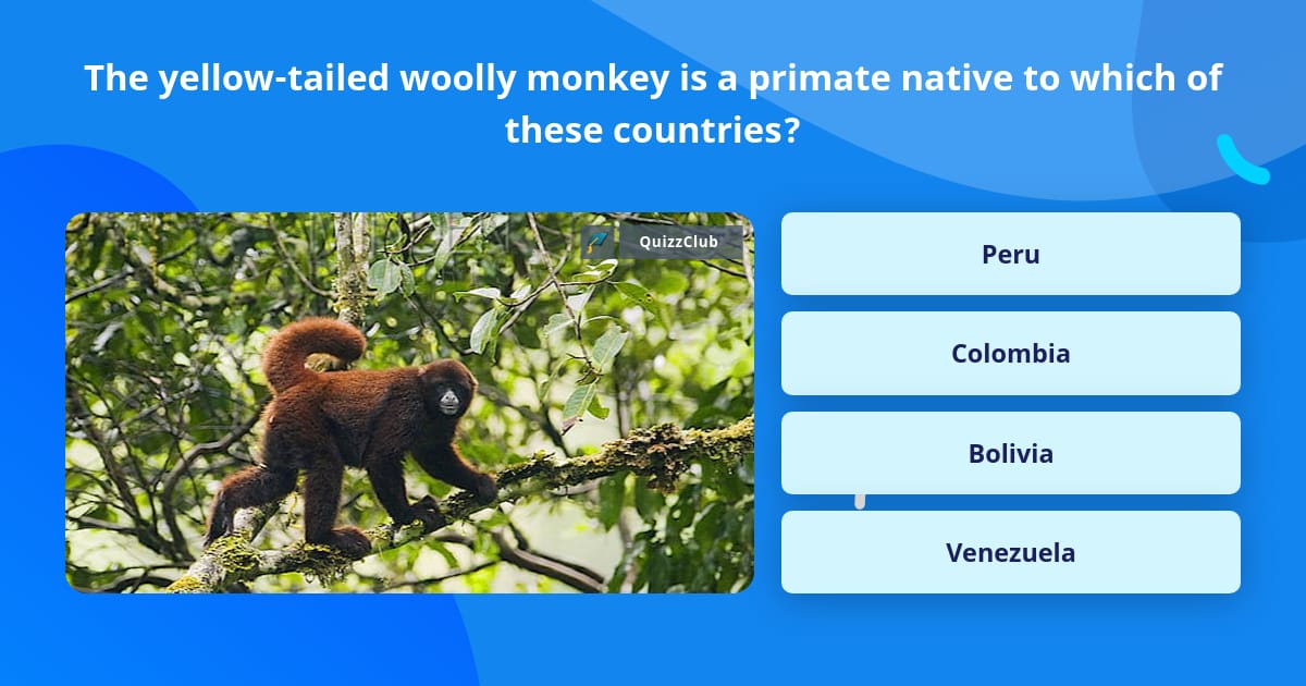 The yellow-tailed woolly monkey is a... | Trivia Answers | QuizzClub
