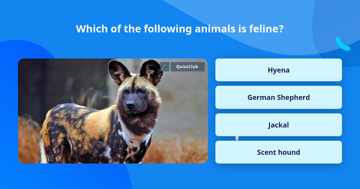 Which of the following animals is... Trivia Answers