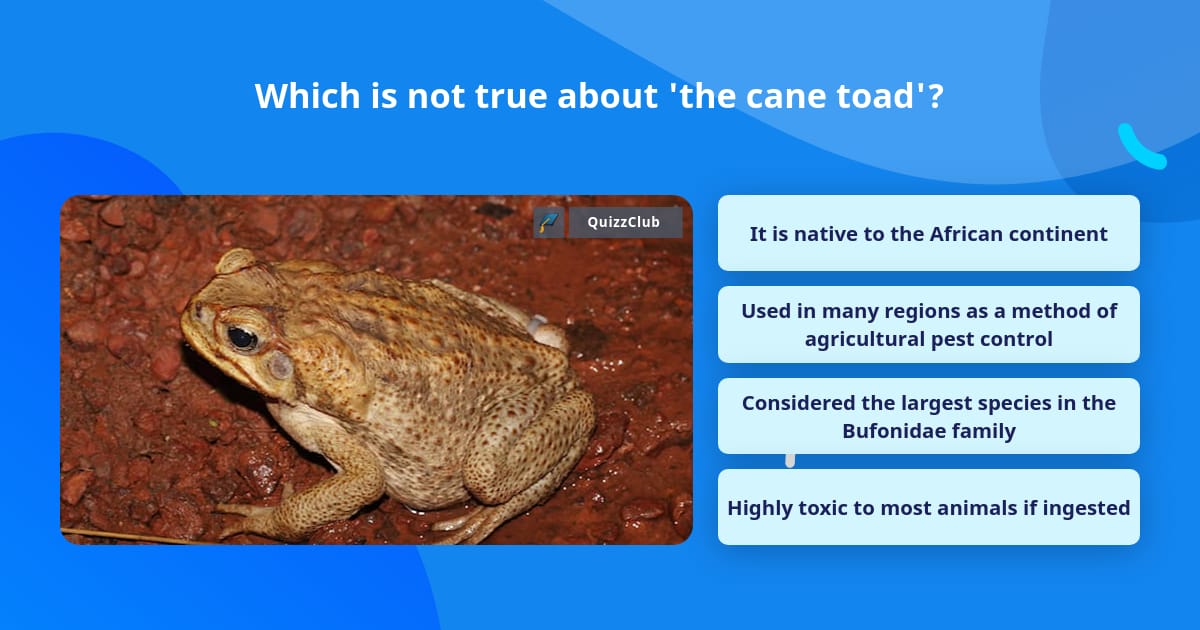 Which is not true about 'the cane toad'? Trivia Questions