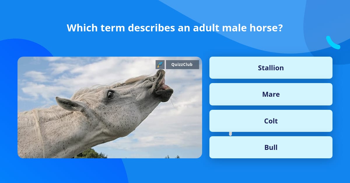 which-term-describes-an-adult-male-trivia-answers-quizzclub