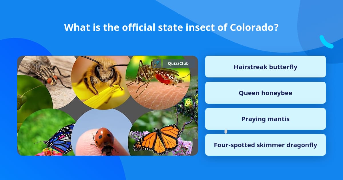 Co State Insect What is the official state insect of... | Trivia Questions | QuizzClub