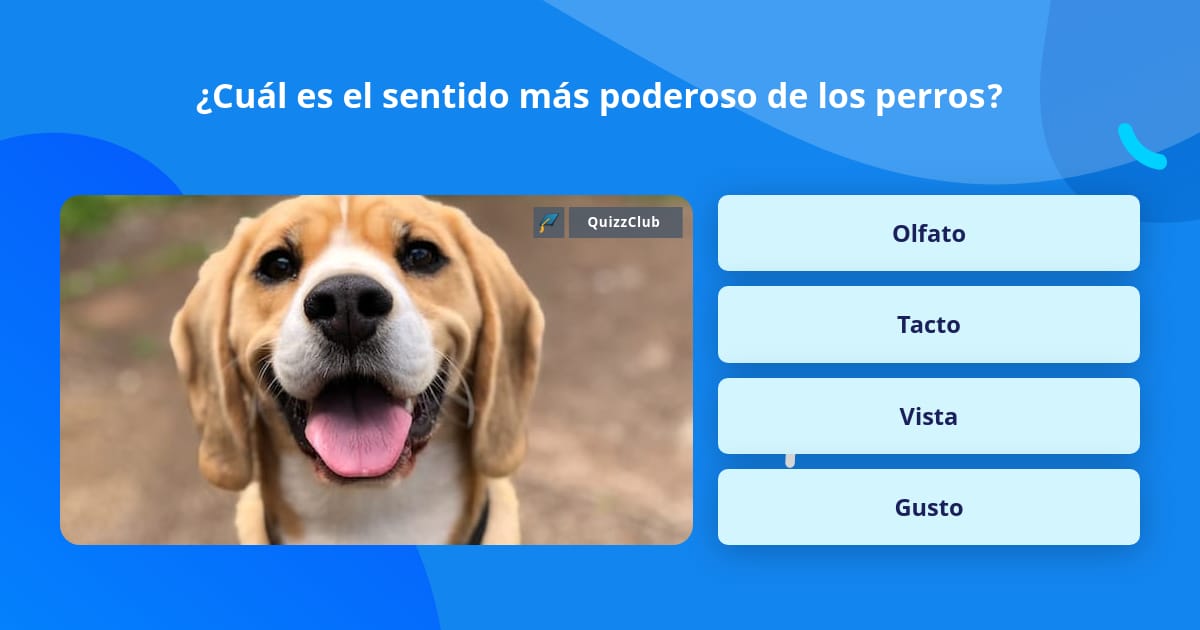 ¿Cuál es el sentido más poderoso de... | Las Preguntas Trivia