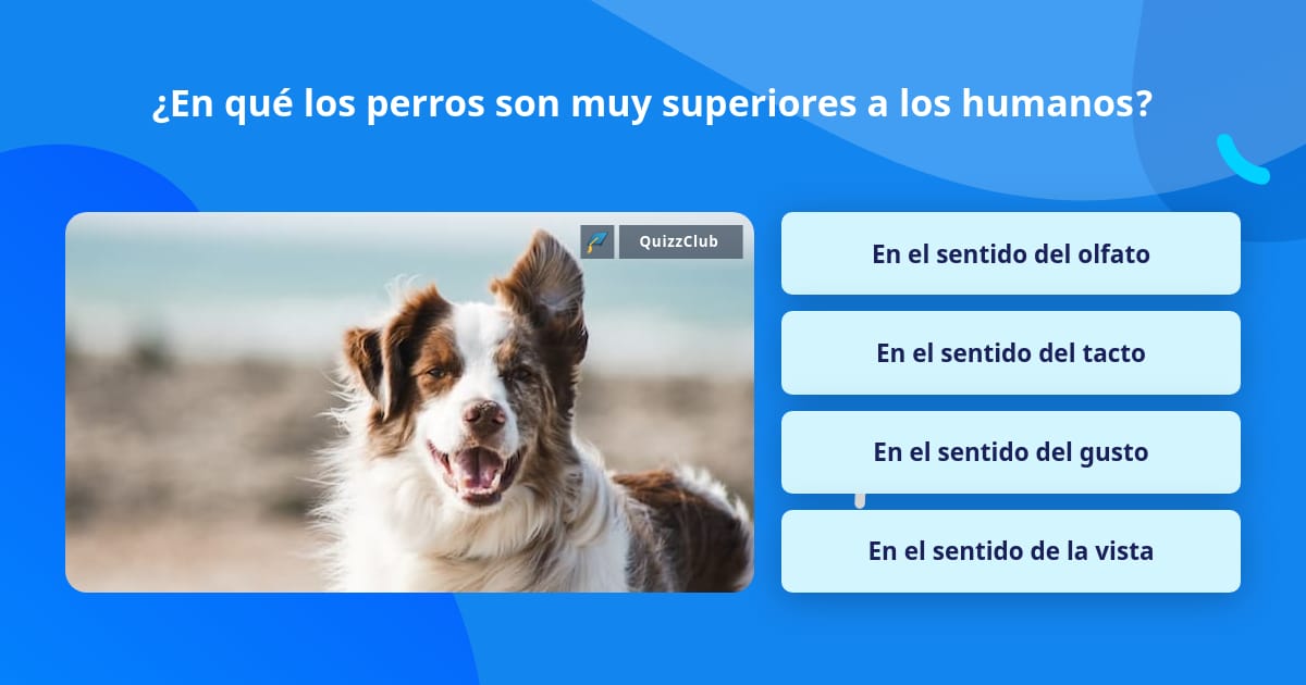 ¿En qué los perros son muy... | Las Preguntas Trivia | QuizzClub