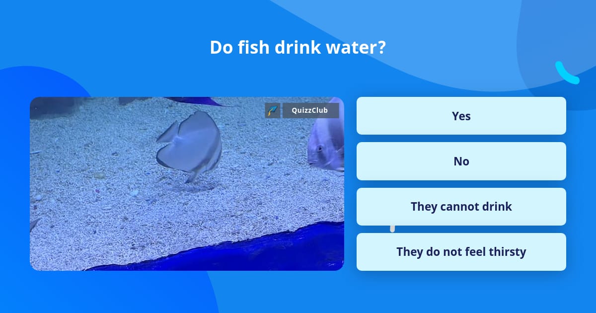 Do fish drink water? Trivia Questions