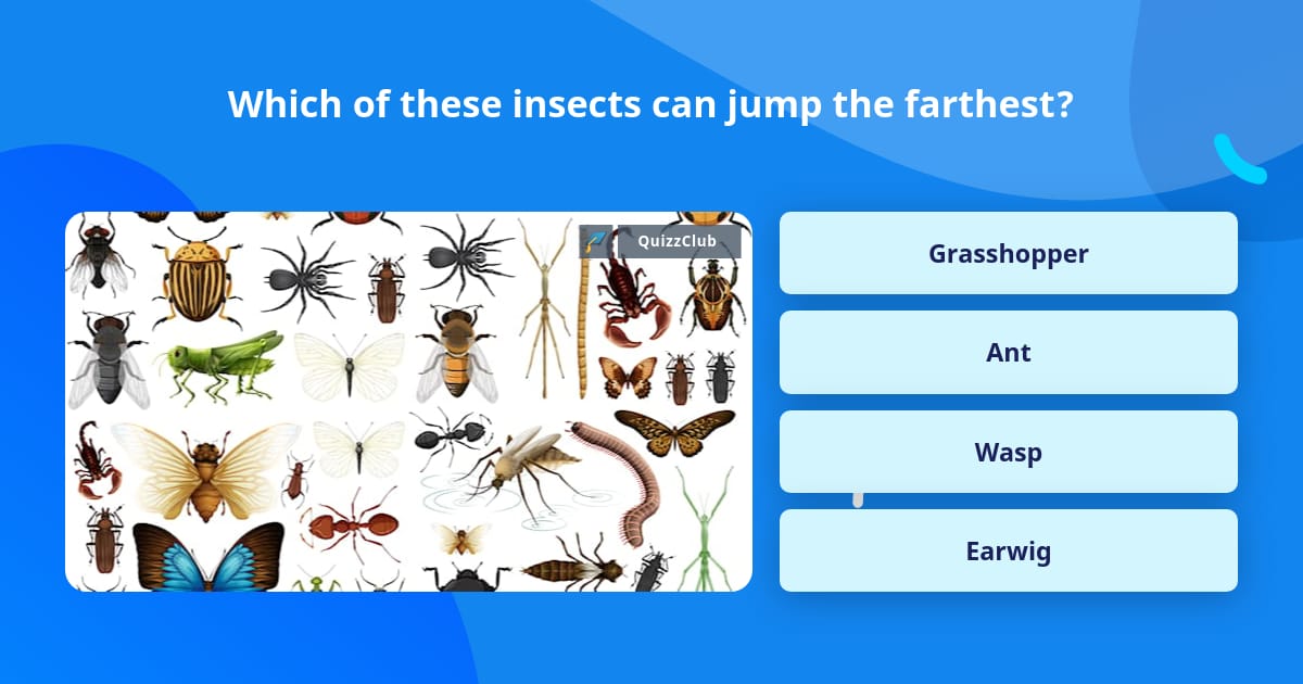 Which of these insects can jump the... | Trivia Questions | QuizzClub