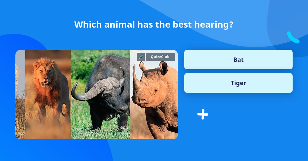 Which animal has the best hearing? | Trivia Questions | QuizzClub